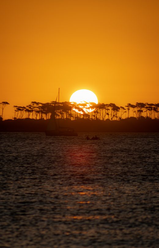 Propiedades en Mansa, Punta Del Este