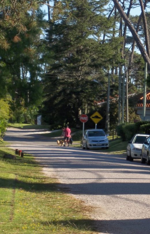 Propiedades en Pinares